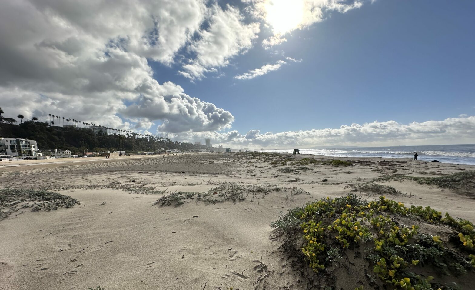 dunes along shore with sunshine