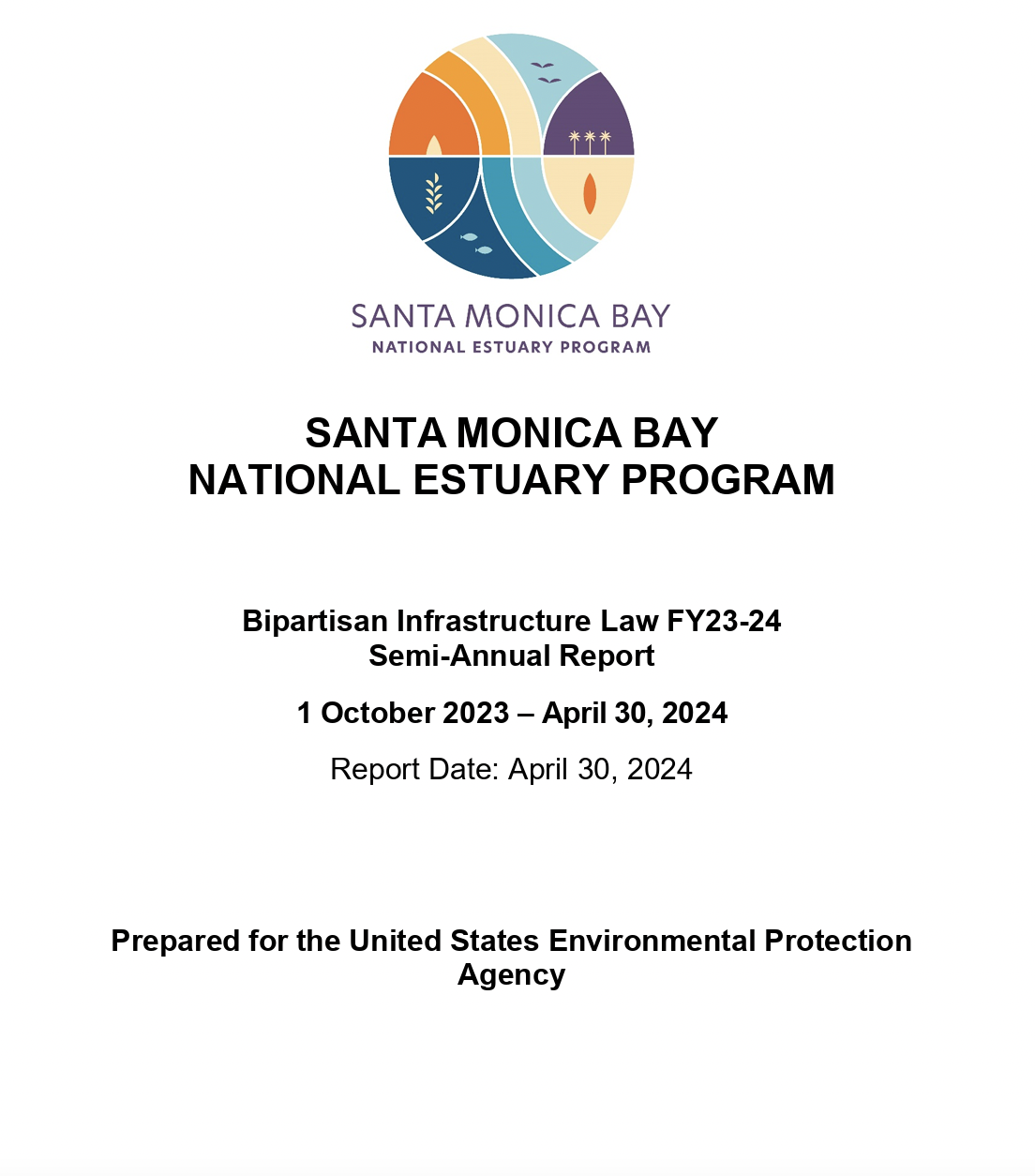 report cover page with SMBNEP logo