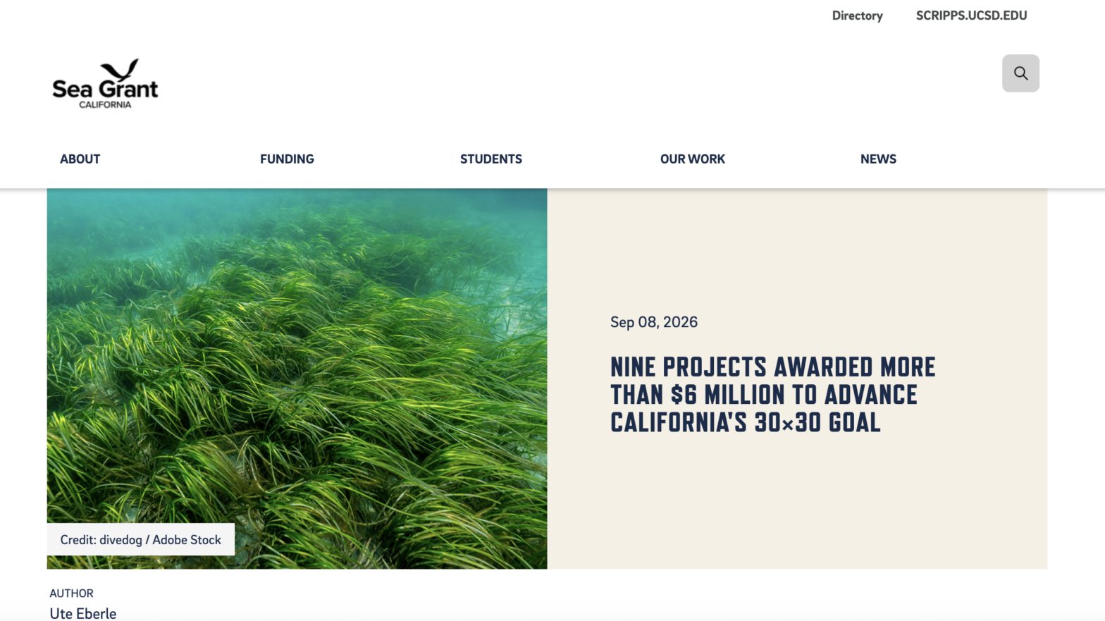news page release with eelgrass bed