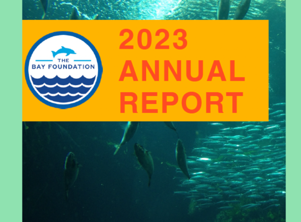 annual report 2023 cover page with fish in the background