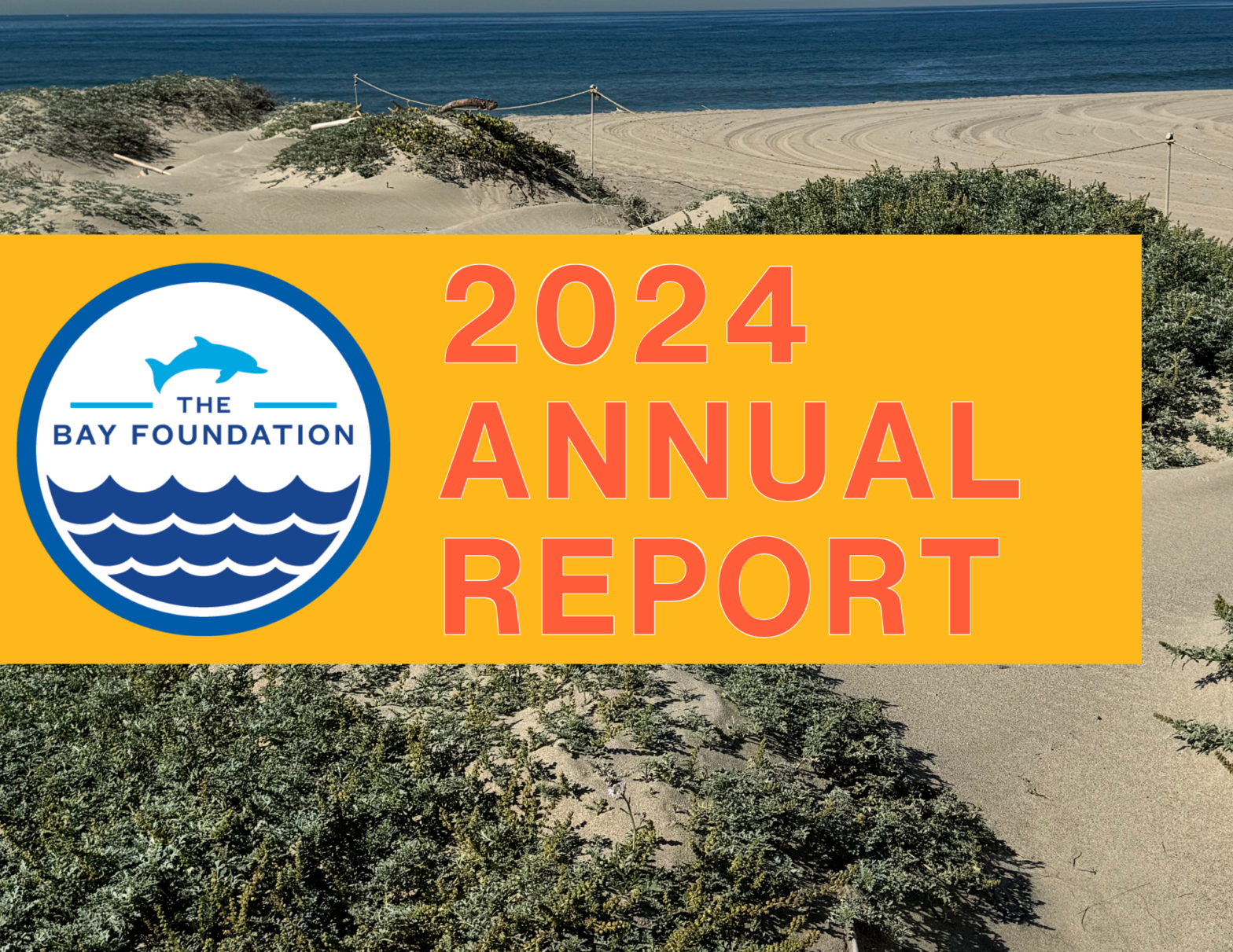 TBF annual report cover page with its logo and an image of beach displaying sand dunes