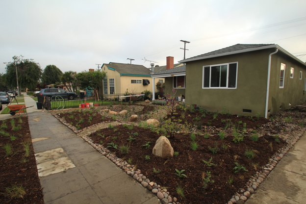 Raingardens  Rainwater Harvesting